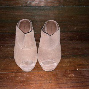 Gray-Brown Wedge